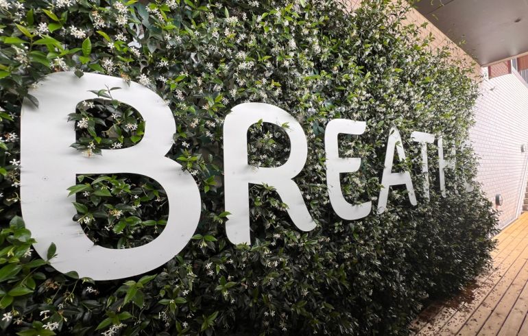 Joanne Mott Breathe Plants – Plants Breathe 2023
Star Jasmine (Trachelospermum Jasminoides), powder-coated aluminium, soil Each art wall approximately  2.3m high x 5.8 m long and .5m deep